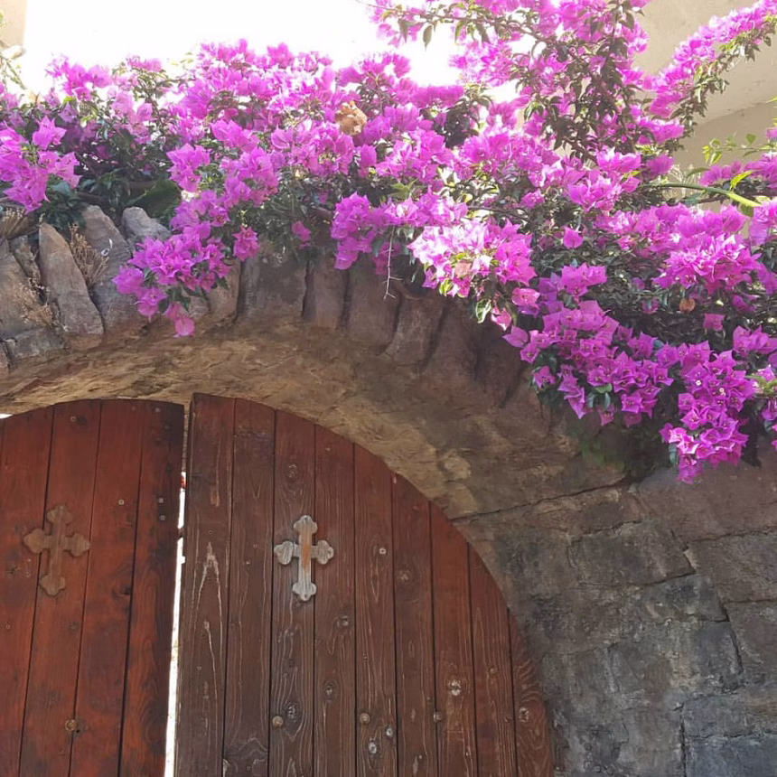 Manastir Podmaine korijen stare Budve