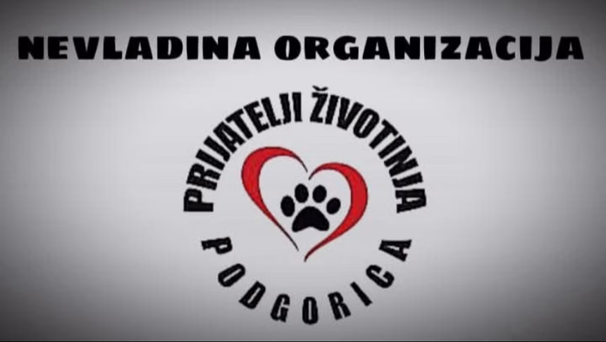 Prijatelji životinja: Tražimo najstrožu kaznu za ubicu pasa u Podgorici