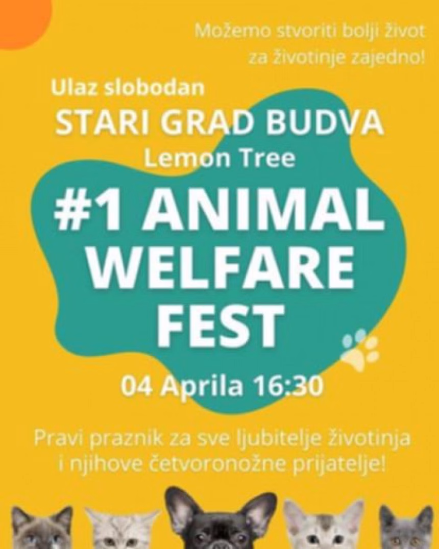 Prvi međunarodni festival posvećen brizi o životinjama stiže u Budvu