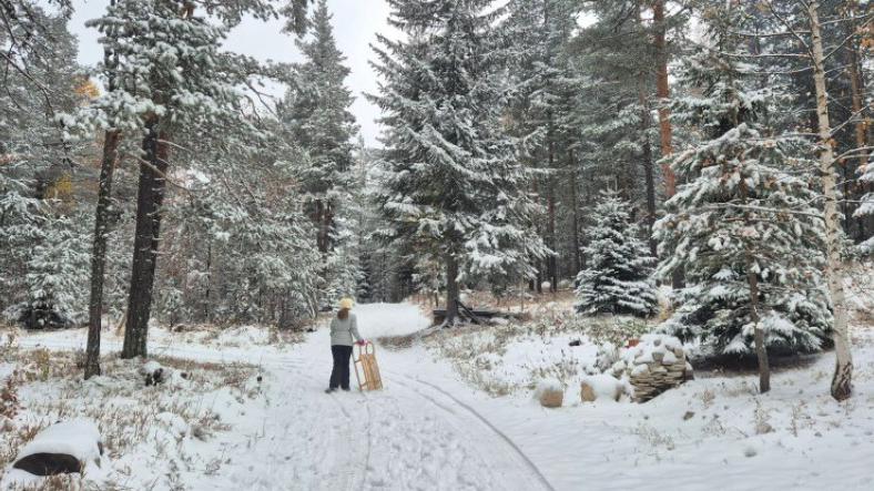 Zabijeljelo na sjeveru Crne Gore | Radio Televizija Budva