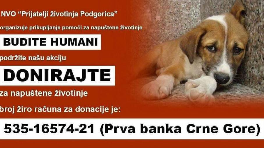 Prijatelji životinja Podgorica: Donirajte za napuštene ljubimce | Radio Televizija Budva