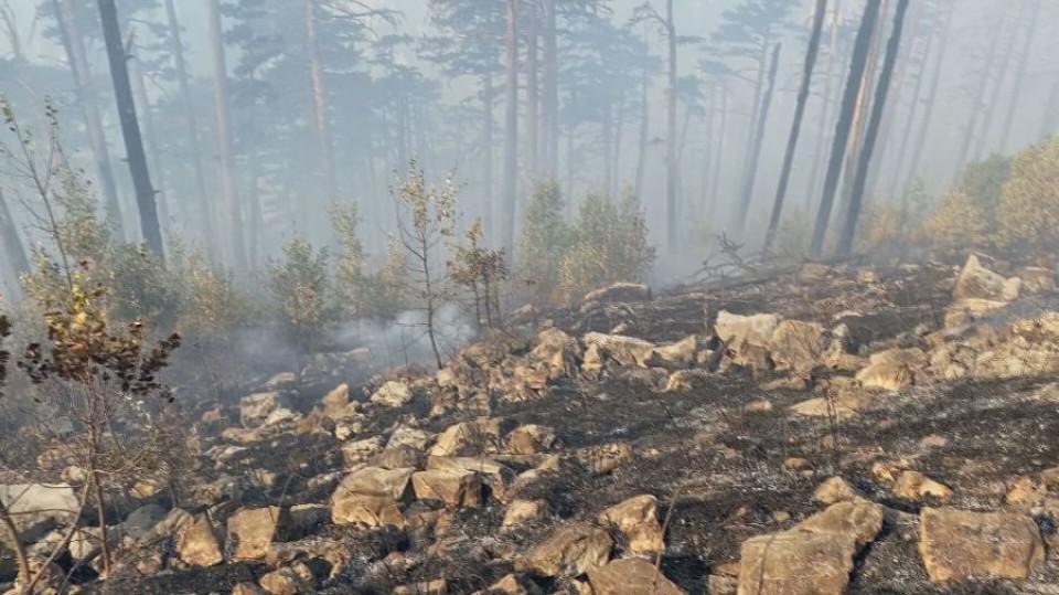 Čudno što je toliko požara na različitim mjestima | Radio Televizija Budva