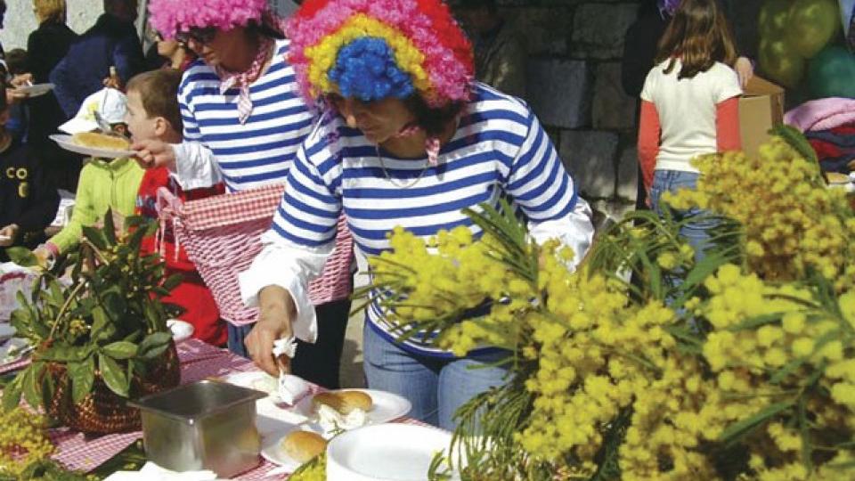 Od subote kreće karavan 56. Praznika mimoze | Radio Televizija Budva