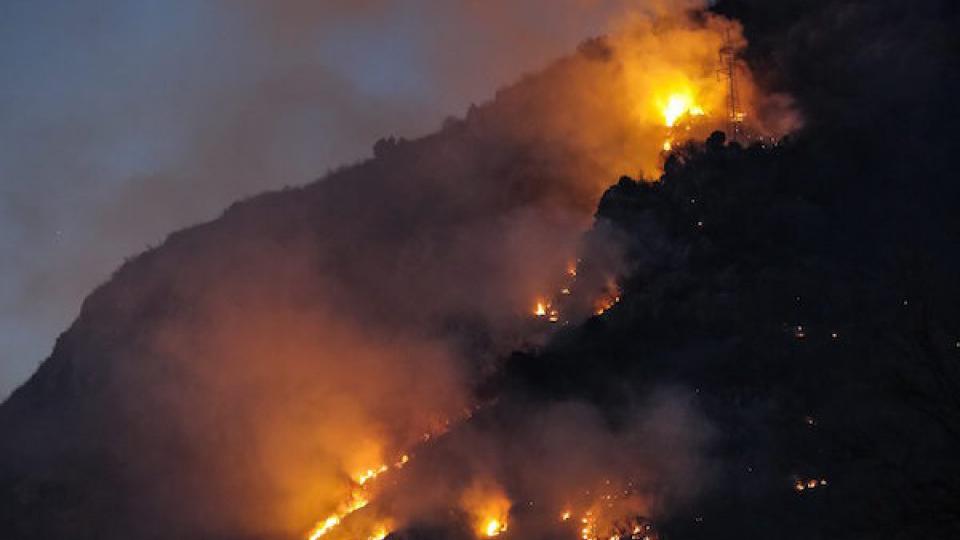 Bukti požar između Budve i Cetinja | Radio Televizija Budva