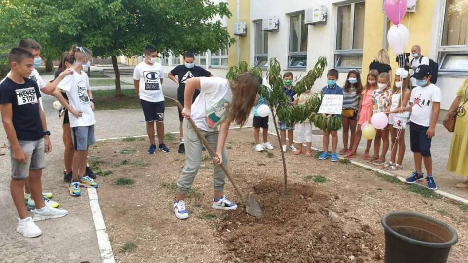 (FOTO)  Učenici Druge osnovne škole zasadili stabla voćki povodom Međunarodnog dana mira | Radio Televizija Budva