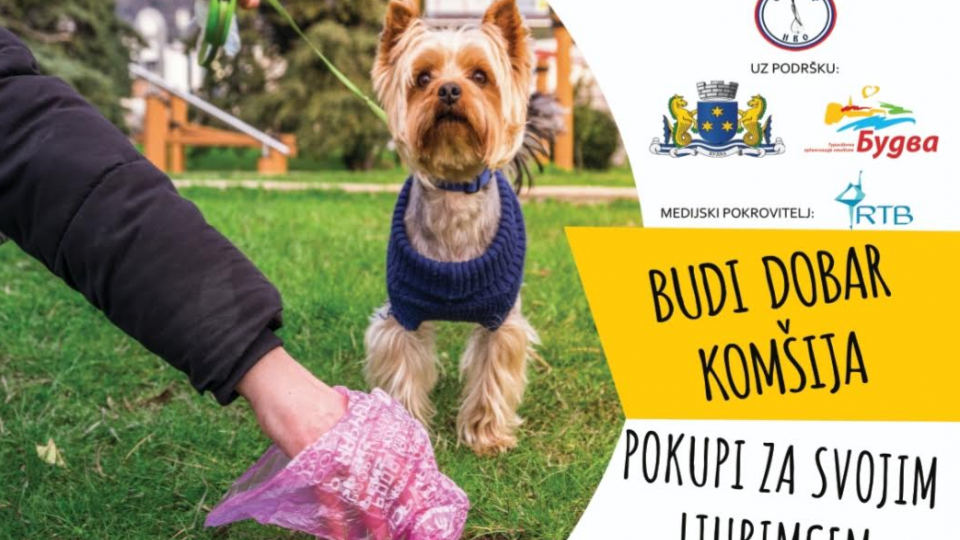 Akcija NVO Serdar: Budi dobar komšija- pokupi za svojim ljubimcem | Radio Televizija Budva