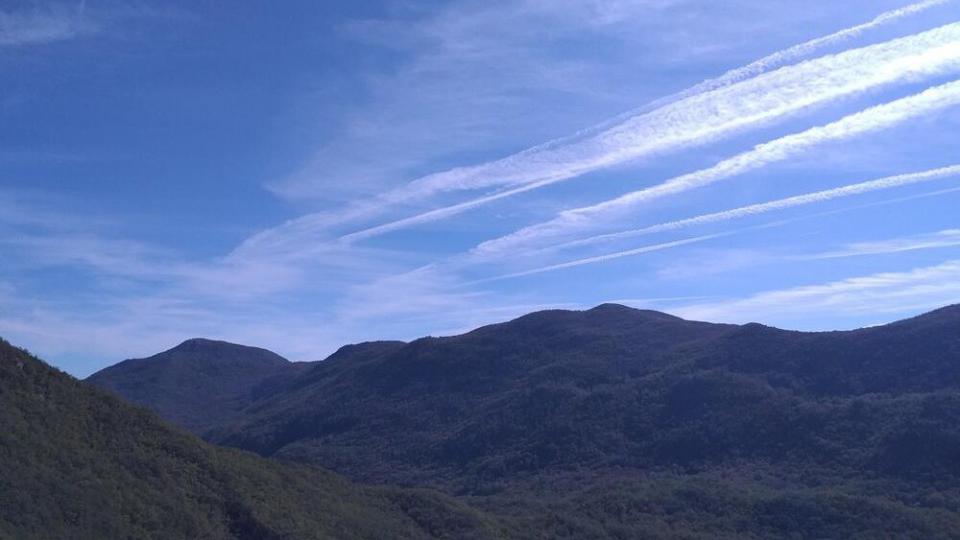 Biramo šume, a ne turbine, poručili predstavnici šest budvanskih mjesnih zajednica | Radio Televizija Budva