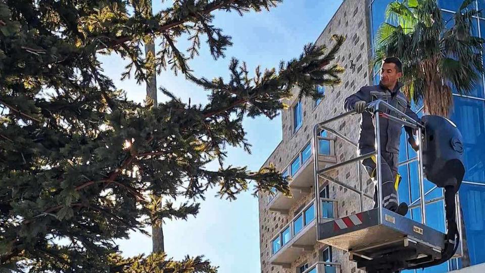 Postavljanje novogodišnje dekoracije u toku | Radio Televizija Budva