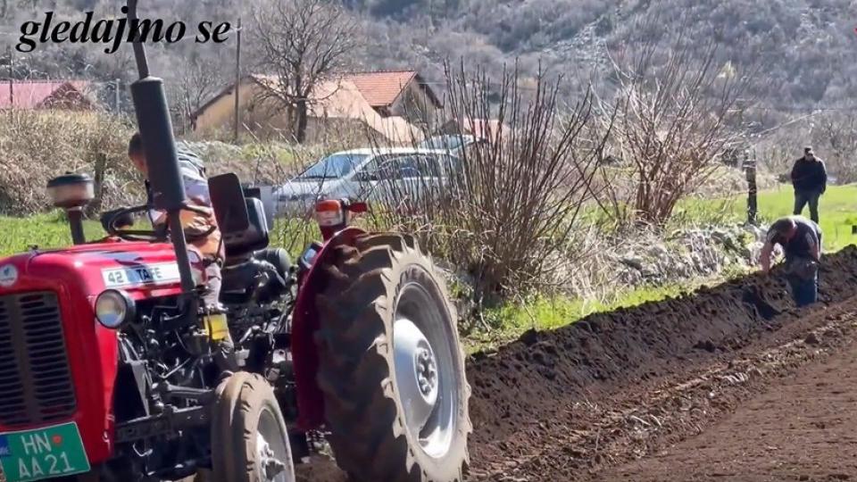 Dvanaestogodišnjem Stefanu poljoprivreda na prvom mjestu | Radio Televizija Budva