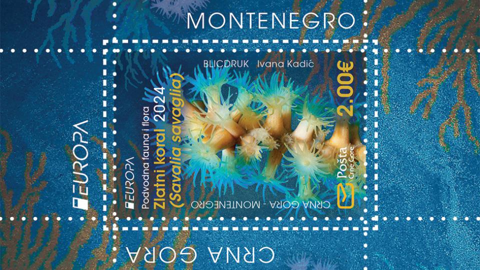 Izbor za najljepšu poštansku marku Evrope: Pošta Crne Gore publikovala marku Zlatni koral | Radio Televizija Budva