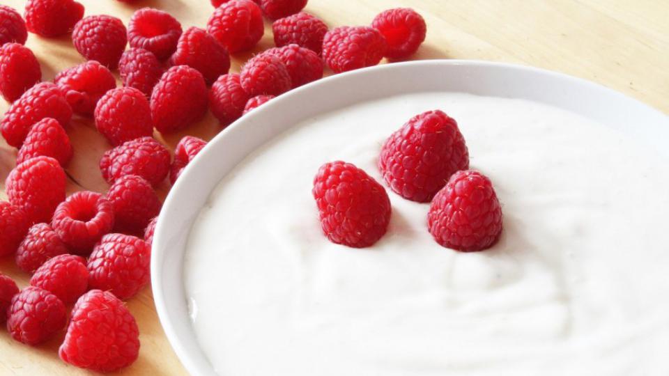 Jogurt - zdravi međuobrok koji je odličan za crijeva | Radio Televizija Budva