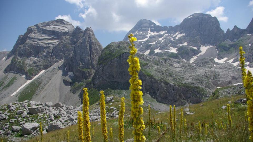 Nadzornici Službe zaštite NP Prokletije verbalno napadnuti na radnom mjestu | Radio Televizija Budva