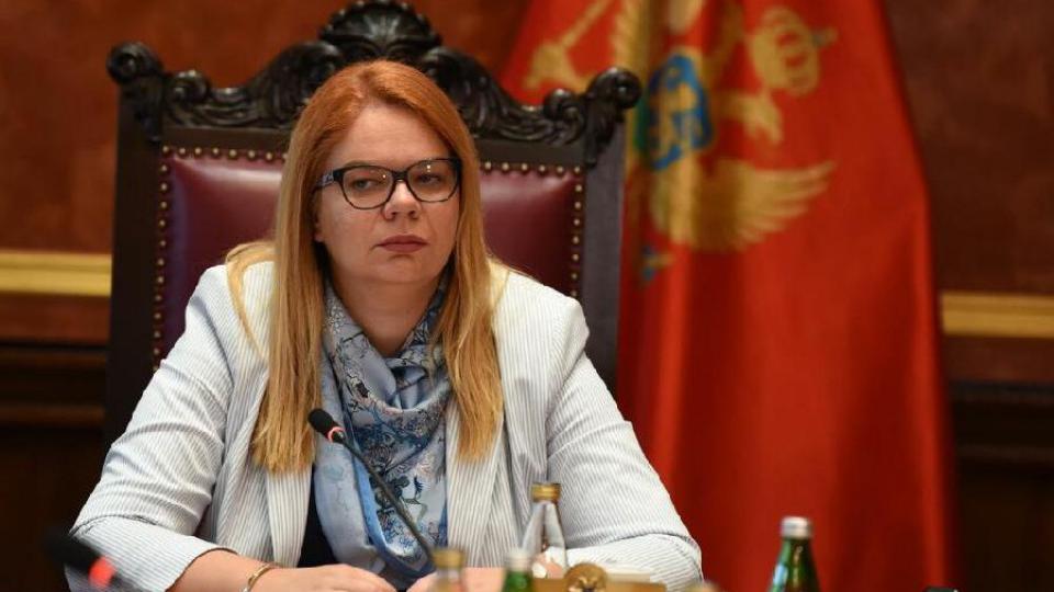 Planirana nabavka novih vozova vrijednosti 30 miliona eura | Radio Televizija Budva