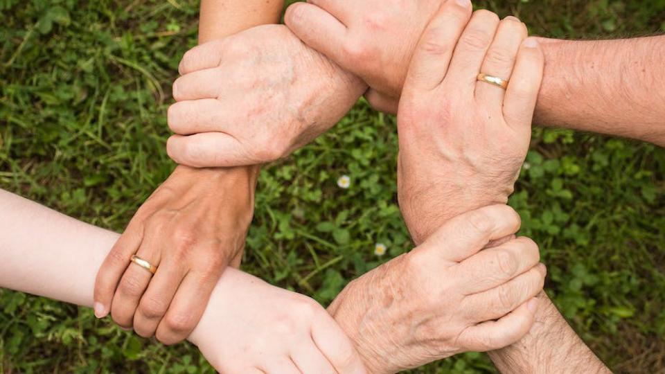 Međunarodni humanitarni dan | Radio Televizija Budva